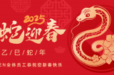 辭舊迎新，蛇舞華章丨深圳容金科技全體員工祝您新春快樂(lè)！